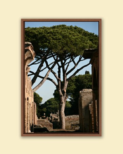 Framed colorful print of the Ostia Antica ruins in Rome Italy, taken by Photographer Scott Allen Wilson