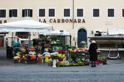 Colorful flower photography taken by Digital Artist Scott Allen Wilson in Rome Italy.