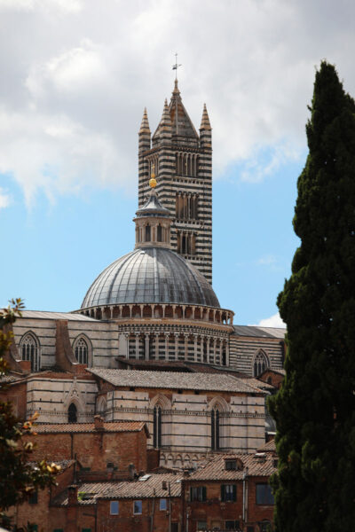 Amazing photo of the Duomo di Siena taken by Photographer Scott Allen Wilson. Its architecture stands out from every other cathedral in Italy.