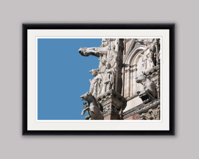 Color framed print of animal gargoyles adorning the left side of the Duomo Di Siena in Italy taken by Photographer Scott Allen Wilson