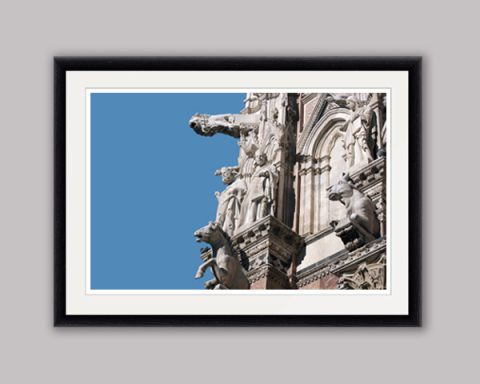 Color framed print of animal gargoyles adorning the left side of the Duomo Di Siena in Italy taken by Photographer Scott Allen Wilson