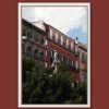 Elegant white framed print of the colorful buildings behind the bushes of Piazza Bellini located in Naples, Italy taken by Photographer Scott Allen Wilson