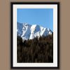Framed print of snow-capped mountains from the Dolomites, Italy with a pine tree forest below taken by Photographer Scott Allen Wilson.