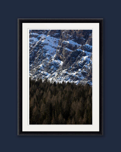 Classic framed print of the amazing texture of trees and the rocky mountains of the Dolomites, Italy taken by Photographer Scott Allen Wilson.