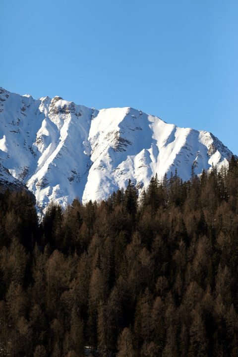 Snow-capped mountains from the Dolomites, Italy with a pine tree forest below taken by Photographer Scott Allen Wilson.