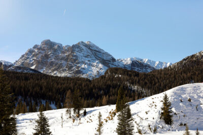 Beautiful landscape photography of the snow-capped mountains and pine tree forest of the Dolomites, Italy taken by Photographer Scott Allen Wilson.
