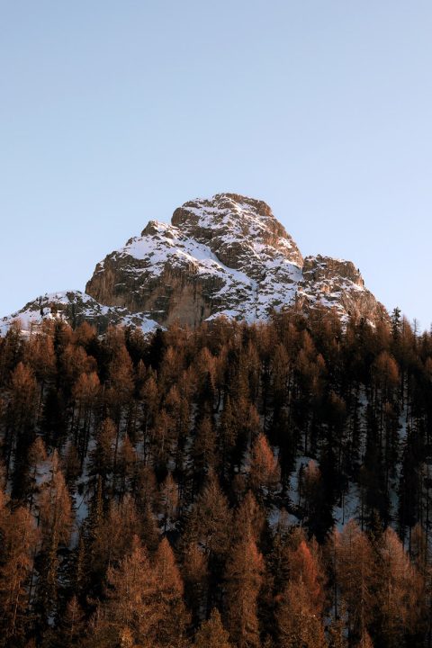Beautiful autumnal photo of a snow-capped mountain of the Dolomites, Italy surrounded by reddish trees taken by Photographer Scott Allen Wilson.