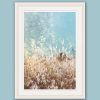 Nature photo in a white frame showing the tall grass and a turquoise sky taken in Peschiera del Garda, Italy by Photographer Scott Allen Wilson.