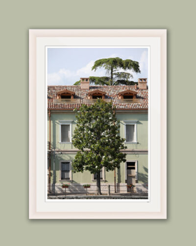 Print on a white frame of a green building with a beautiful tree in front taken in Peschiera del Garda, Italy by Photographer Scott Allen Wilson.