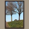 A dark brown framed print of a man reading in a park in the city of Lucca, Italy. By Photographer Scott Allen Wilson.