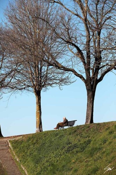 A man reading in a park in the city of Lucca, Italy. By Photographer Scott Allen Wilson.