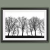 A black framed b&w print of three spooky trees in Lucca, Italy. By Photographer Scott Allen Wilson.