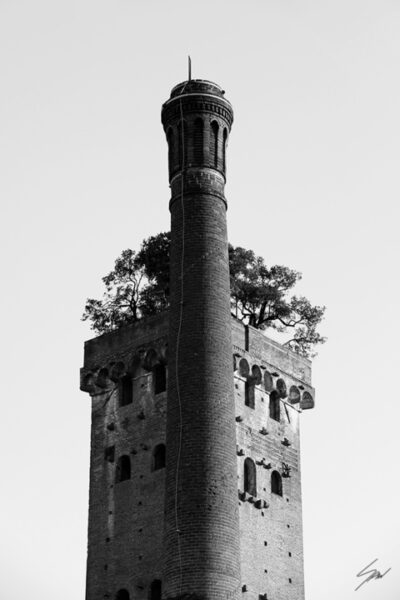 Torre Guinigi with trees on top of it in the city of Lucca, Italy. By Photographer Scott Allen Wilson.