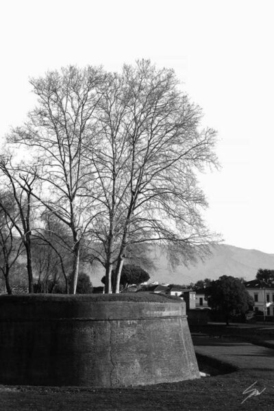 The walls of the city of Lucca, Italy. By Photographer Scott Allen Wilson.