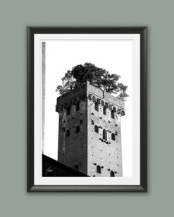 A black and white print of Torre Guinigi with trees on top of it in the city of Lucca, Italy. By Photographer Scott Allen Wilson.