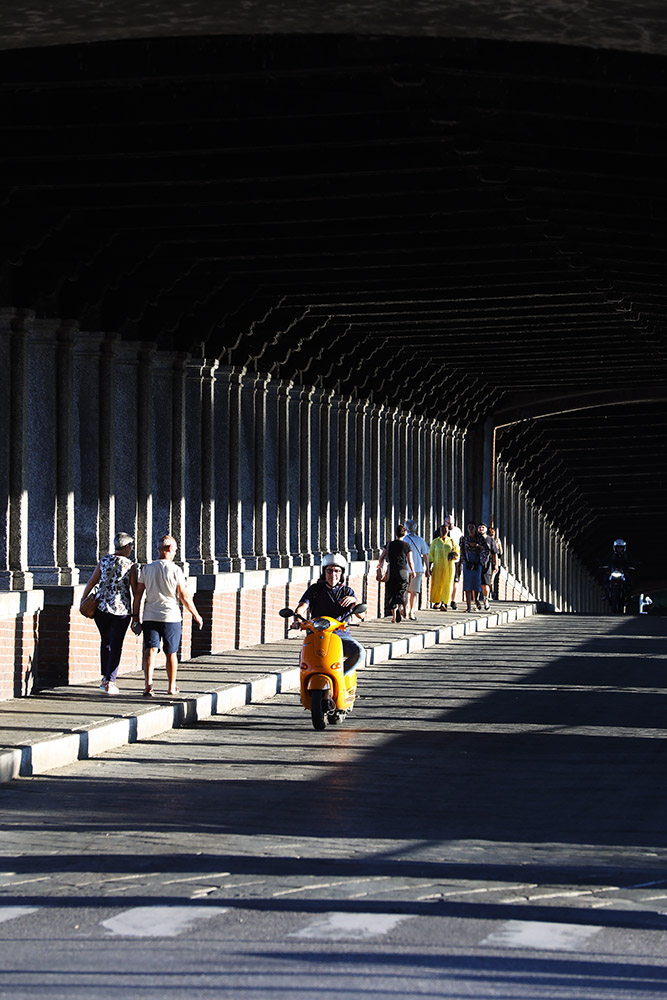 Pavia Bridge