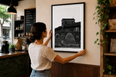 Pavia Collection
