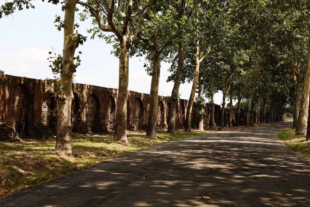 Tree-lined path running alongside the Farnese walls in Piacenza, where historic brick fortifications and green space create a peaceful urban landscape.