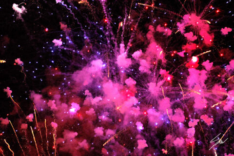 Abstract fine art photograph capturing an explosion of pink and purple fireworks illuminating the night sky.