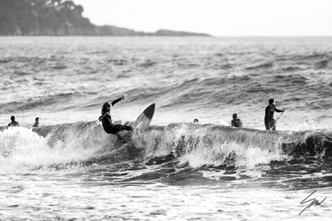 Black and white fine art photograph of a surfer carving across a breaking wave, capturing power, balance, and the timeless rhythm of the sea.